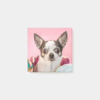 Notas Post-it® Chihuahua Hund auf rosa