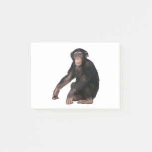 Notas Post-it® Chimpancé