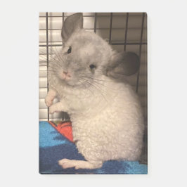 Notas Post-it® Chinchilla