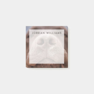 Notas Post-it® Cierre de la nariz de chocolate