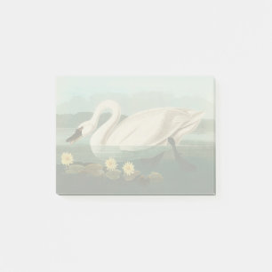 Notas Post-it® cisnes de agua blanca de cisne audubon