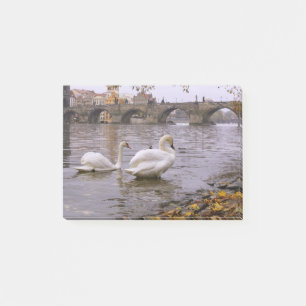 Notas Post-it® Cisnes y puente Carlos en Praga