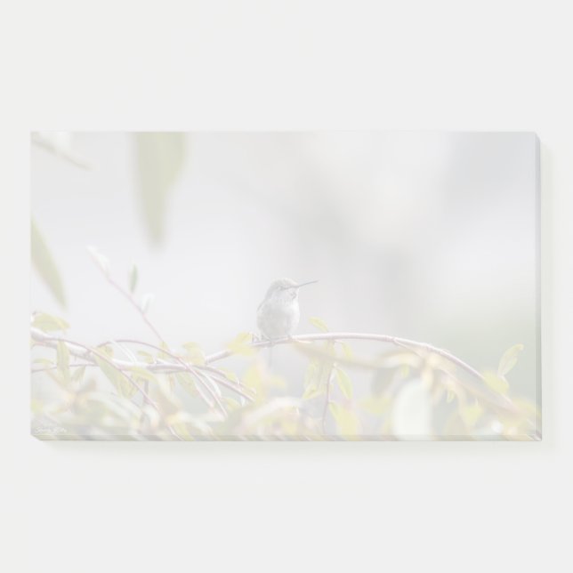 Notas Post-it® Colibrí 3346 (Anverso)