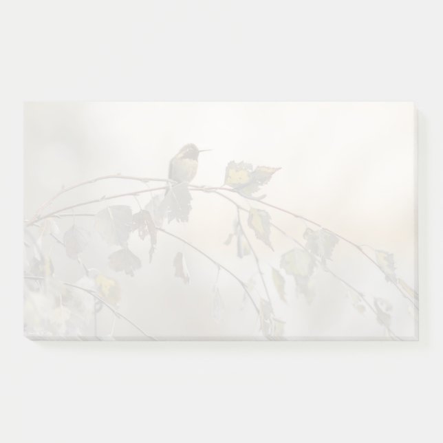 Notas Post-it® Colibrí 5265 (Anverso)