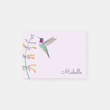 Colibrí de Anna personalizado 