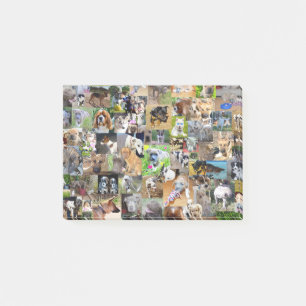 Notas Post-it® Collage de fotos de perro,