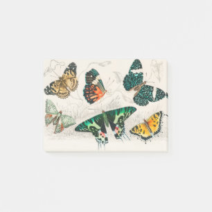 Notas Post-it® Collection of Various Butterflies