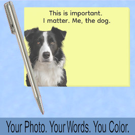 Notas Post-it® Collie or Your Dog Photo—Stocking Stuffer Cute