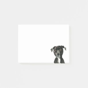 Notas Post-it® "Comtemplando" la pintura del perro del pitbull