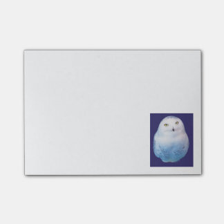 Notas Post-it® Cool Post-it Snowy Owl