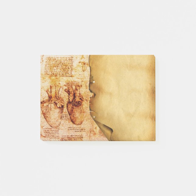 Notas Post-it® Corazón Y Sus Vasos Sanguíneos Pergamino Médico (Anverso)