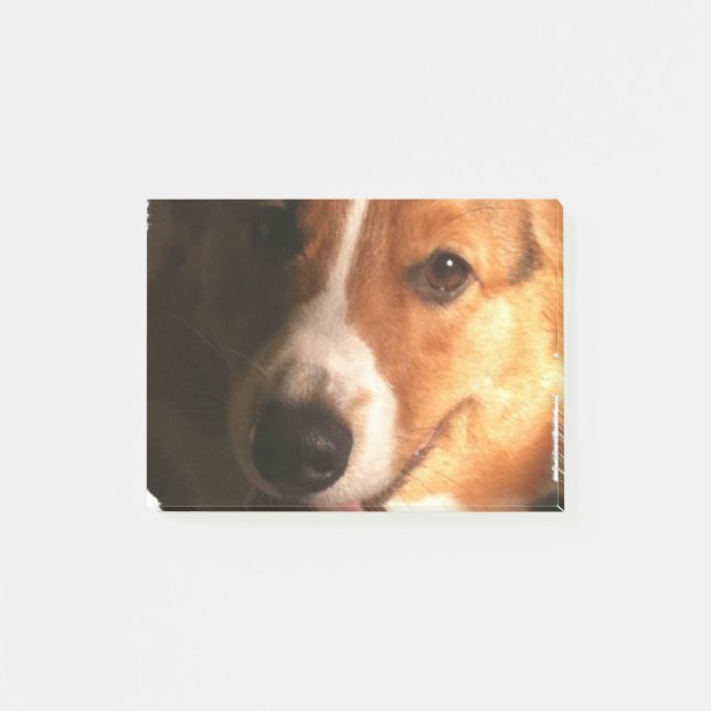 Notas Post-it® Corgi (Anverso)