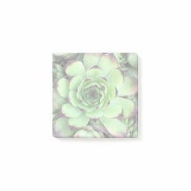 Crea tu propia foto iluminada