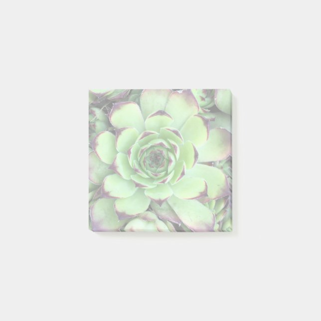 Notas Post-it® Crea tu propia foto iluminada (Anverso)