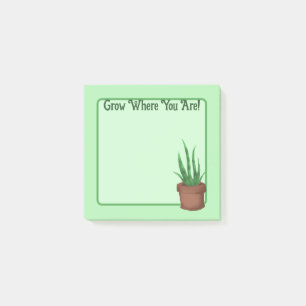 Notas Post-it® ¡Crecer Donde Estás! (Planta Potada de Bonito)