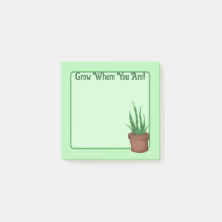 Notas Post-it® ¡Crecer Donde Estás! (Planta Potada de Bonito)
