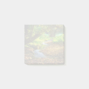 Notas Post-it® Creek forestal Hermoso paisaje natural Foto