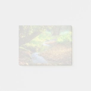 Notas Post-it® Creek forestal Hermoso paisaje natural Foto