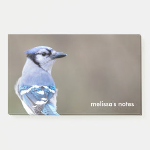 Notas Post-it® Cuadrillo de Jay azul en Treestump