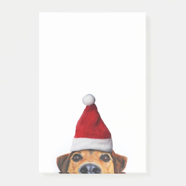 Notas Post-it® Curioso perro gracioso con Santa Hat (Anverso)