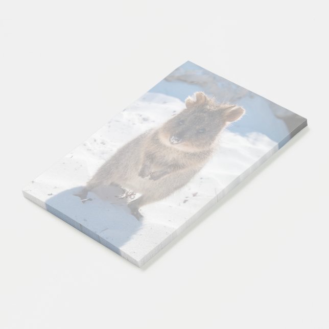 Notas Post-it® Cuta y feliz Quokka en la playa de Australia (En perspectiva)