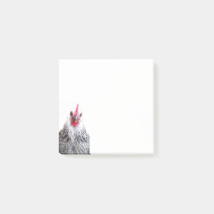 Notas Post-it® Cute Bantam Cochin Hen Photo Note Pad