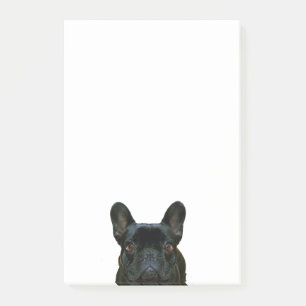 Notas Post-it® Cute Black French Bulldog Frenchie Fotografía: