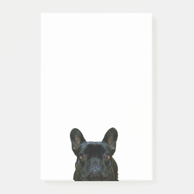Notas Post-it® Cute Black French Bulldog Frenchie Fotografía: (Anverso)