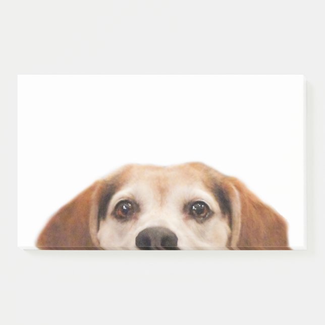 Notas Post-it® Cute Funny Beagle Dog Moderno Trendy (Anverso)