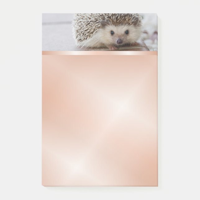 Notas Post-it® Cute Hedgehog Photo Rosa Gold (Anverso)