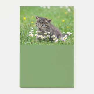 Notas Post-it® Cute Kitten Art