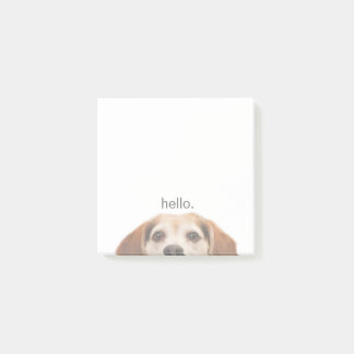 Notas Post-it® Cute Smiling Beagle con Hello Quote Post-it Notes