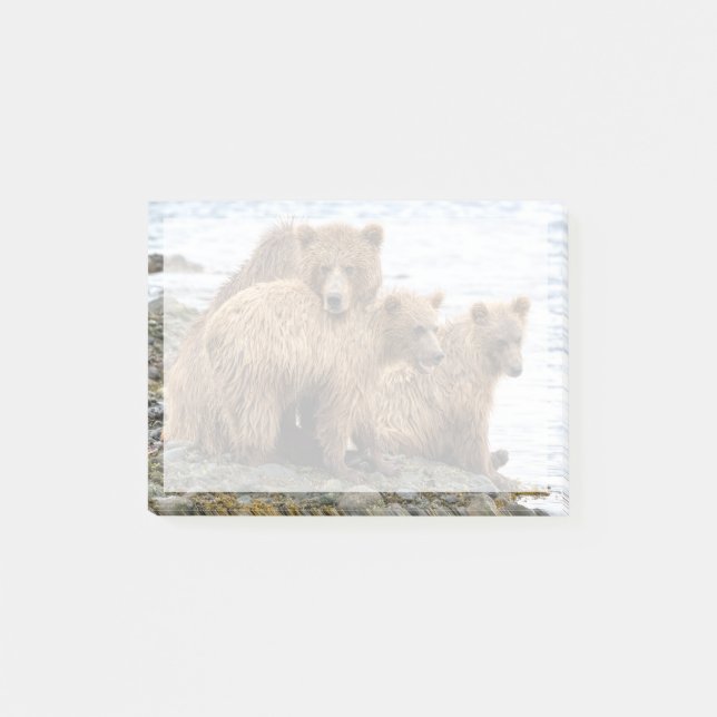 Notas Post-it® Cutest Baby Animals | Bear & Cubs (Anverso)
