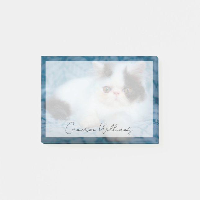 Notas Post-it® Cutest Baby Animals | Black & White Kitten (Anverso)