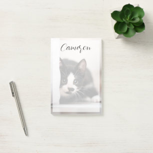 Notas Post-it® Cutest Baby Animals Black & White Kitten