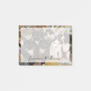 Notas Post-it® Cutest Baby Animals Black & White Kittens