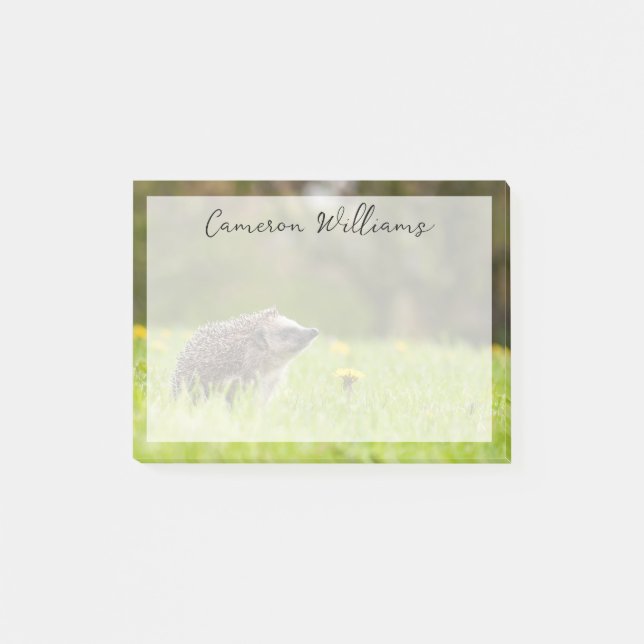 Notas Post-it® Cutest Baby Animals | European Hedgehog (Anverso)