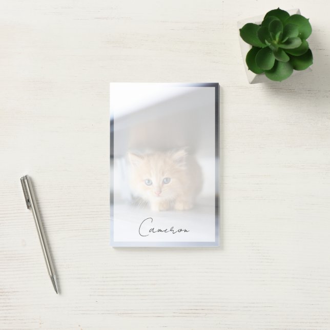 Notas Post-it® Cutest Baby Animals | Fluffy Orange Kitten (Oficina)