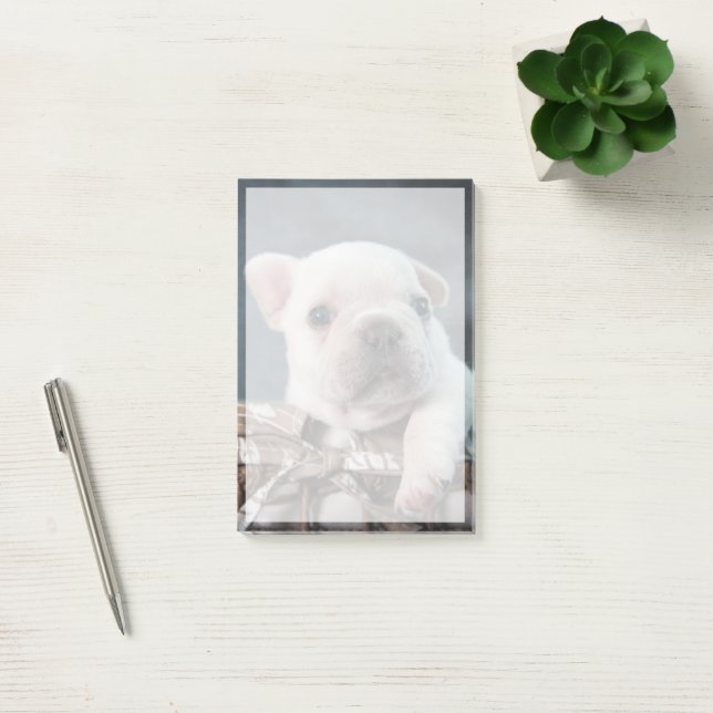 Notas Post-it® Cutest Baby Animals | French Bulldog (Oficina)