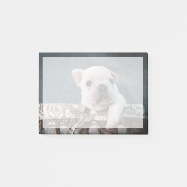 Notas Post-it® Cutest Baby Animals | French Bulldog (Anverso)