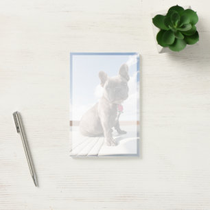 Notas Post-it® Cutest Baby Animals French Bulldog Boating