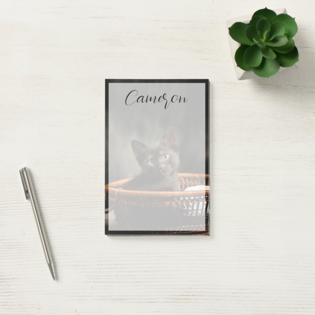 Notas Post-it® Cutest Baby Animals | Kitten in Basket (Oficina)