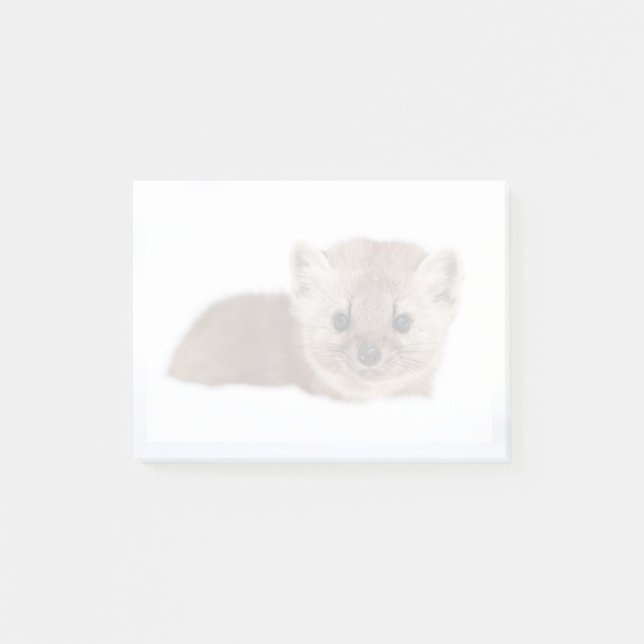 Notas Post-it® Cutest Baby Animals | Pine Marten (Anverso)