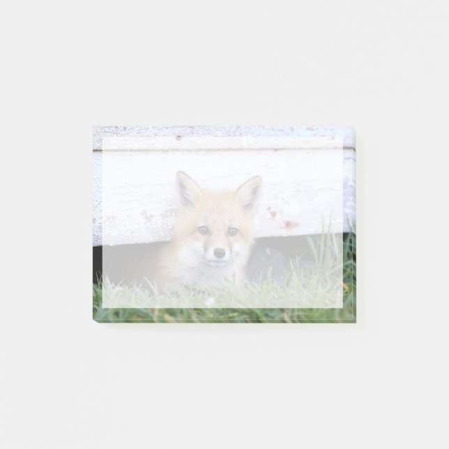 Notas Post-it® Cutest Baby Animals | Red Fox Kit Peeking (Anverso)