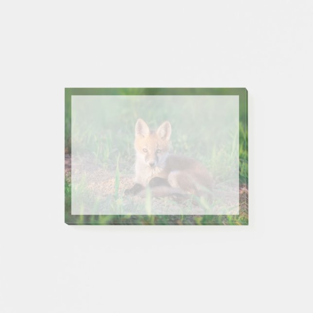 Notas Post-it® Cutest Baby Animals | Red Fox Kit Relaxing (Anverso)