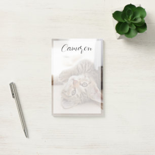 Notas Post-it® Cutest Baby Animals Shorthair Tabby Kitten