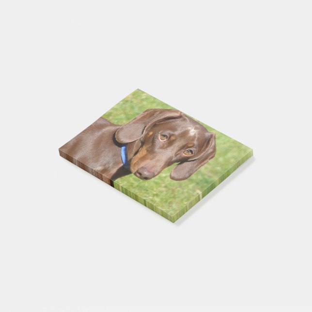 Notas Post-it® Dachshund (En perspectiva)