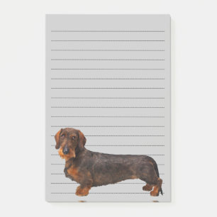 Notas Post-it® Dachshund cabelludo del alambre