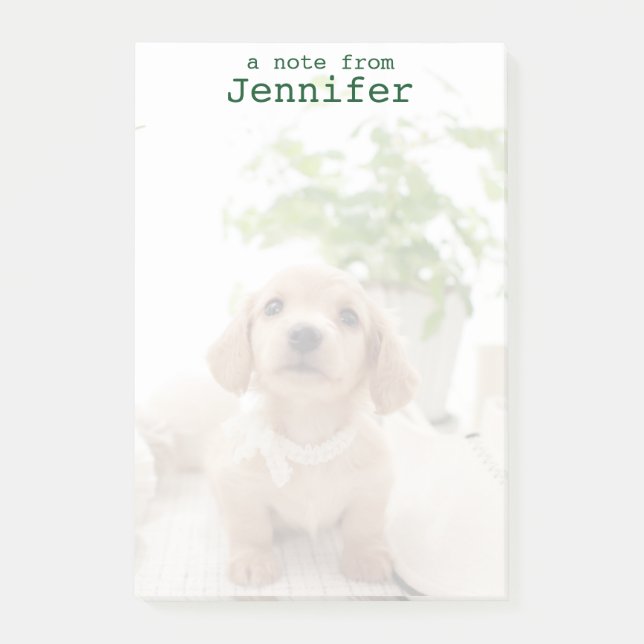 Notas Post-it® Dachshund en miniatura (Anverso)
