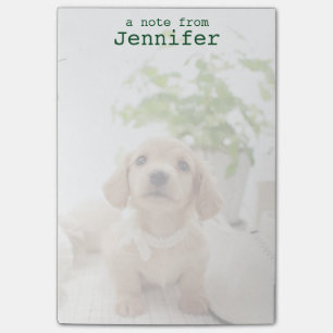 Notas Post-it® Dachshund en miniatura